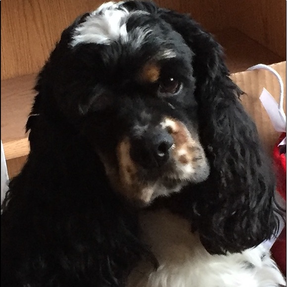 Meet your Posher, Peggy - Picture 1 of 1